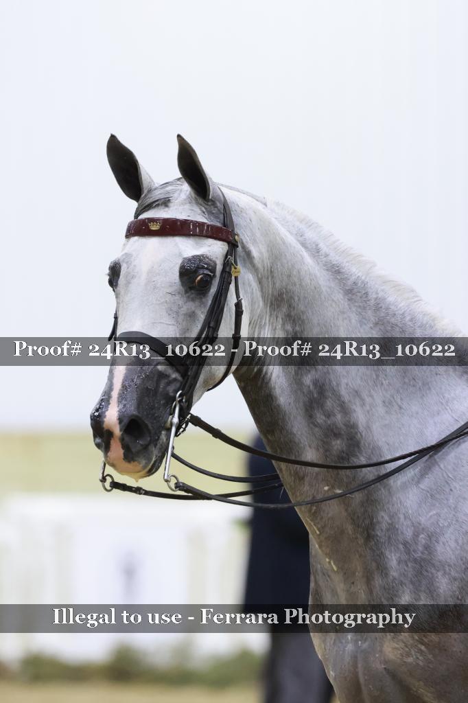 Proof 24R13_10622