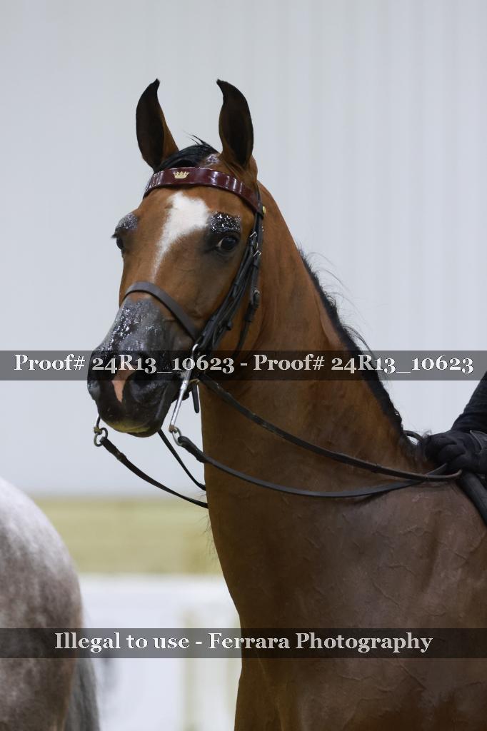 Proof 24R13_10623