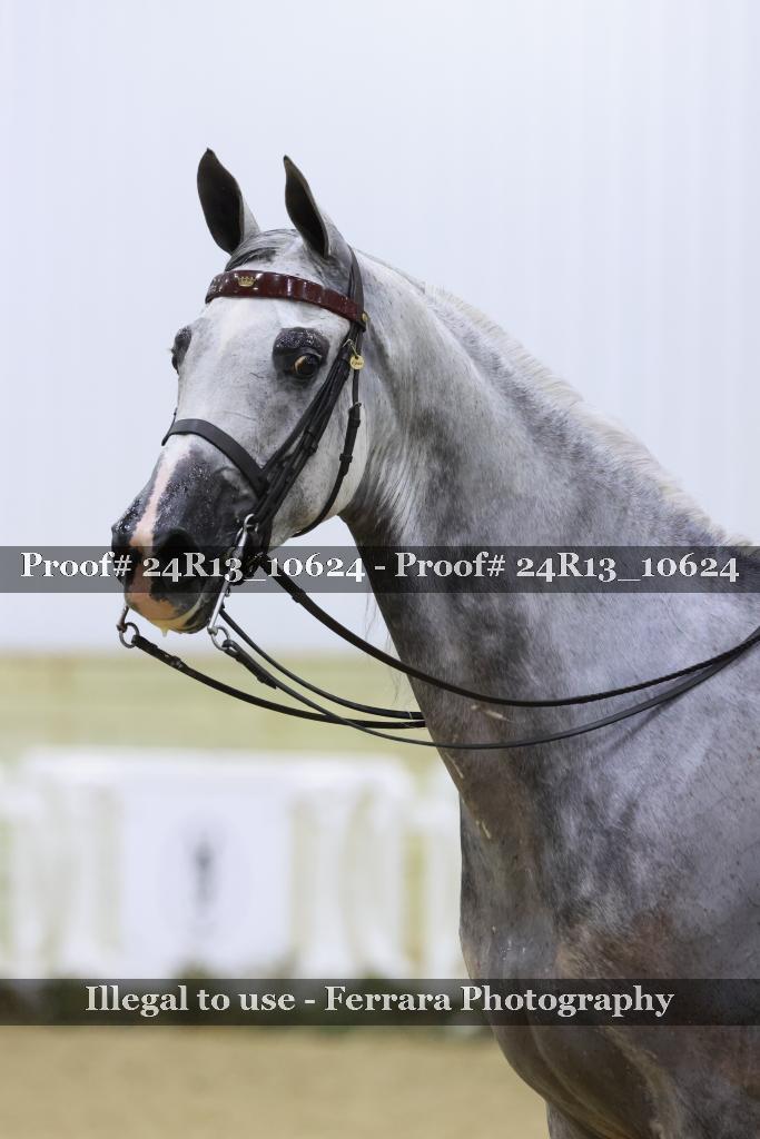Proof 24R13_10624
