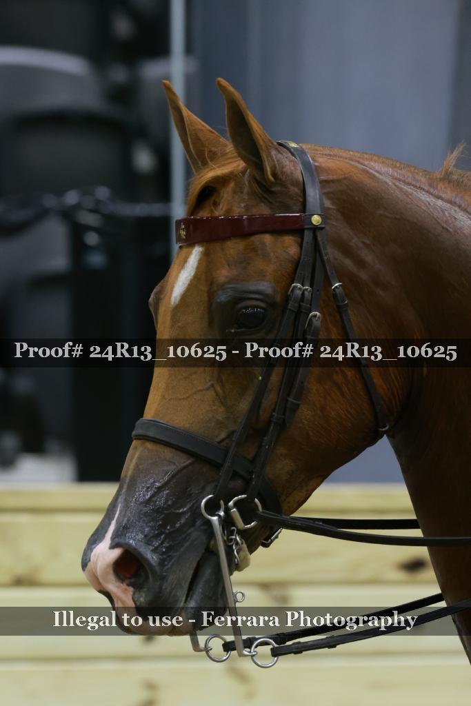 Proof 24R13_10625