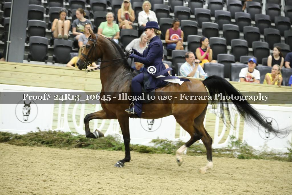 Proof 24R13_10645
