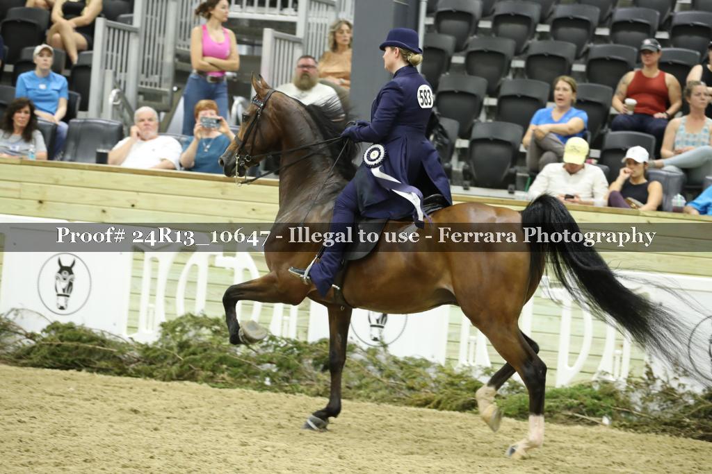 Proof 24R13_10647