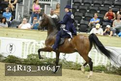 24R13_10647 proof