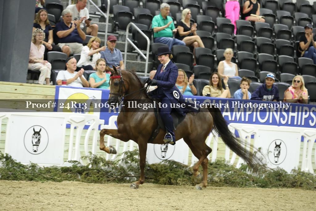 Proof 24R13_10651