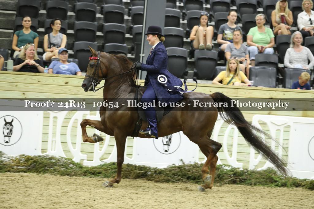 Proof 24R13_10654
