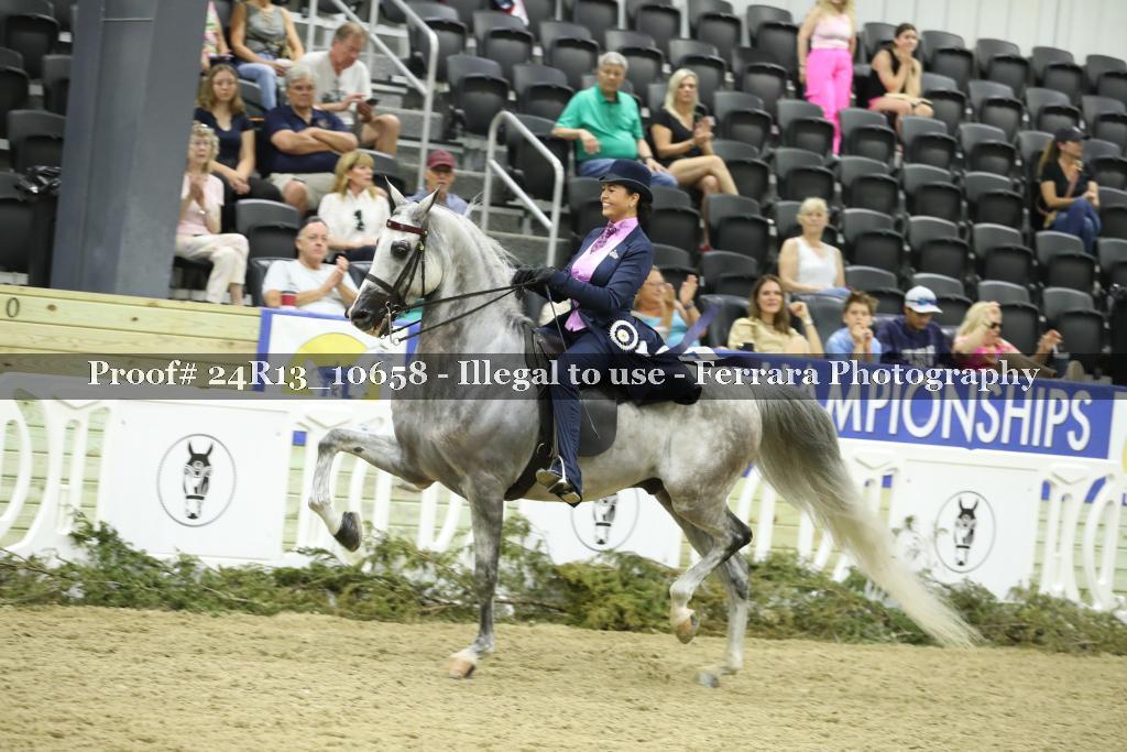 Proof 24R13_10658