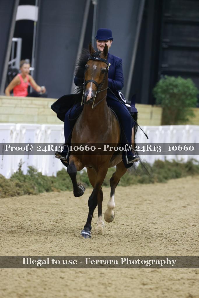 Proof 24R13_10660