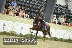 24R13_10663 proof