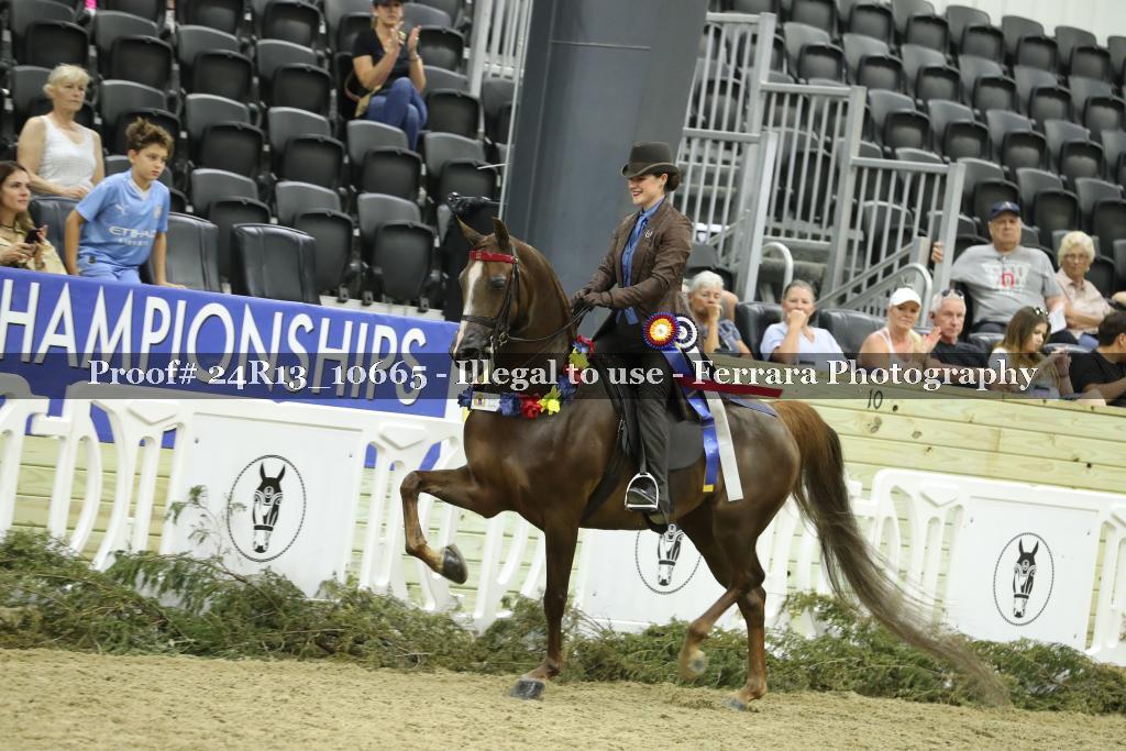 Proof 24R13_10665