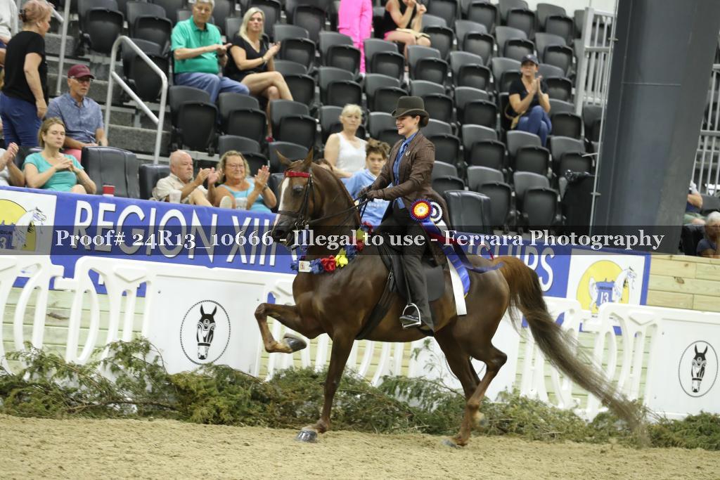 Proof 24R13_10666