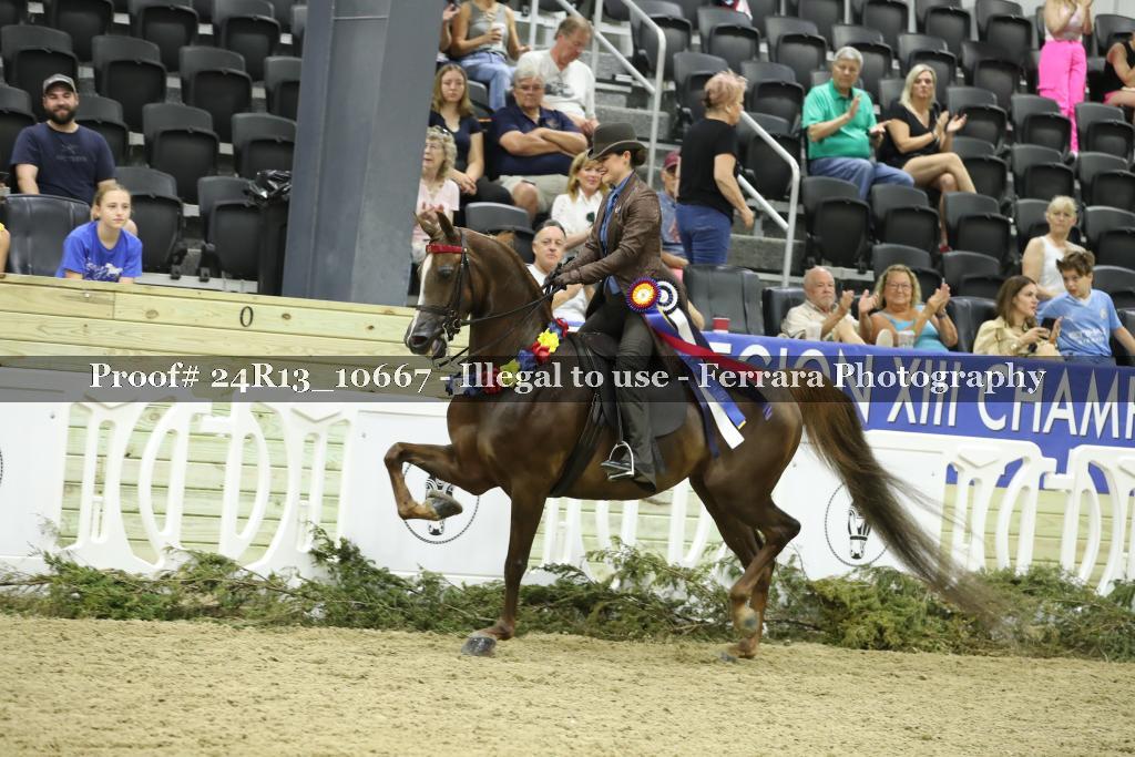 Proof 24R13_10667