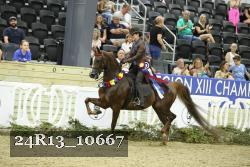 24R13_10667 proof