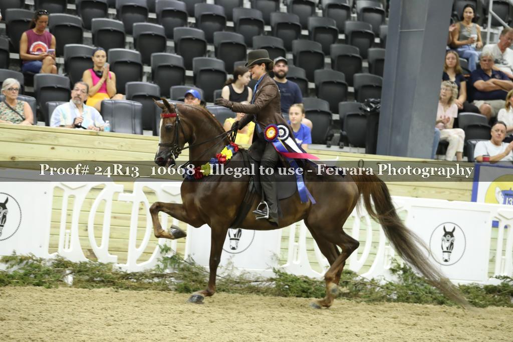 Proof 24R13_10668