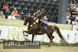 24R13_10668 proof