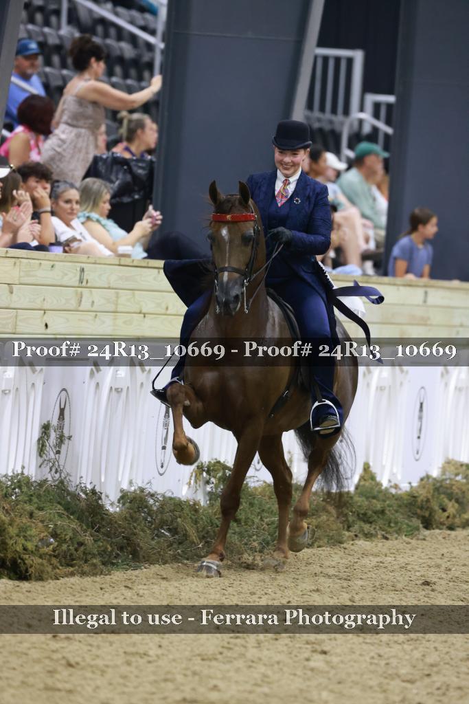 Proof 24R13_10669