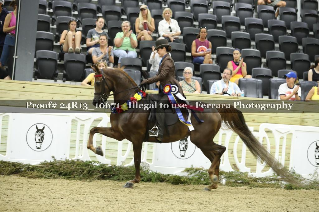 Proof 24R13_10671