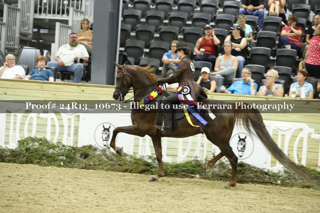 Proof 24R13_10673