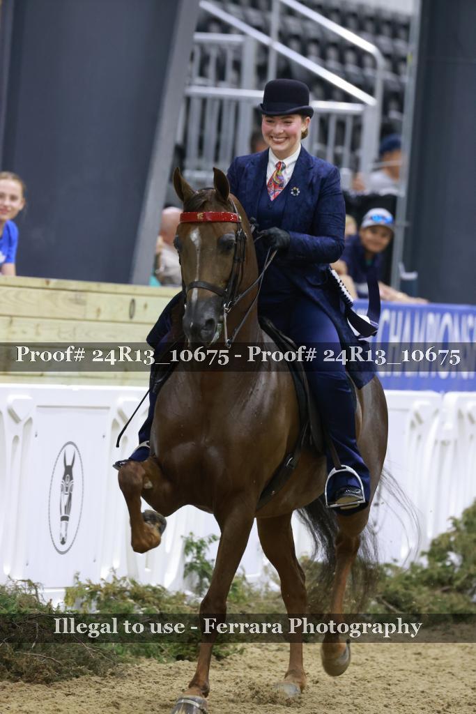 Proof 24R13_10675