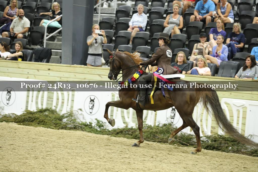 Proof 24R13_10676
