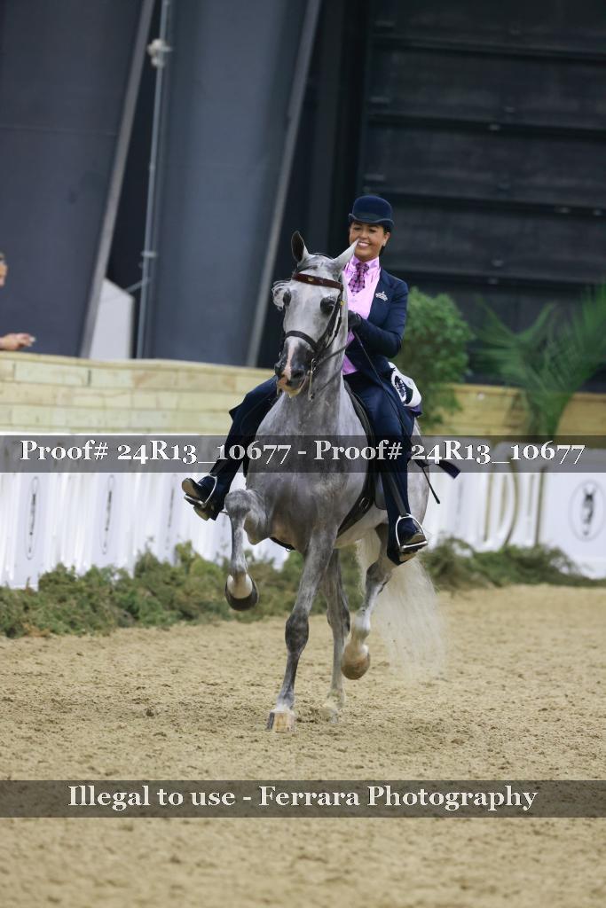 Proof 24R13_10677