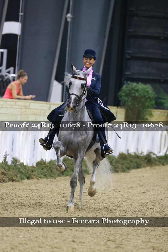 Proof 24R13_10678