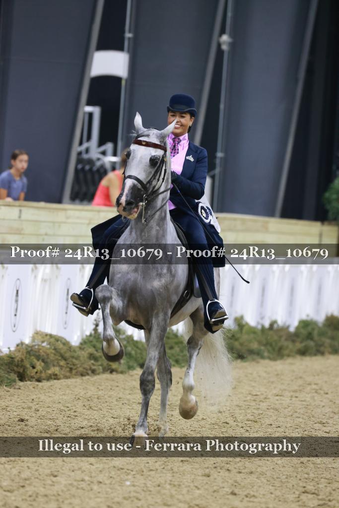 Proof 24R13_10679