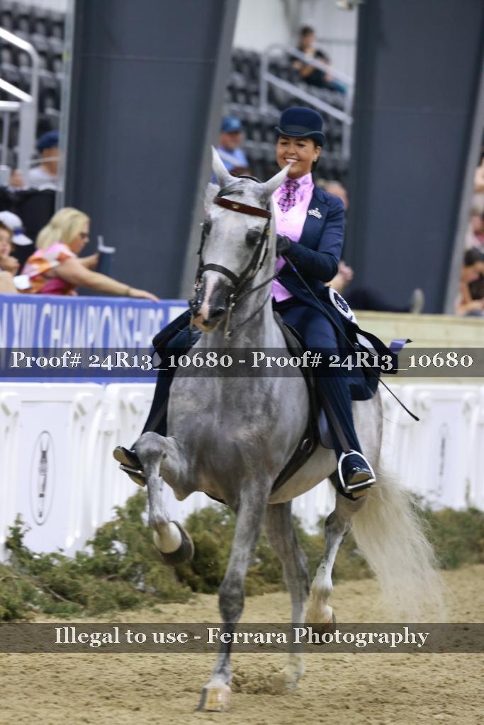 Proof 24R13_10680