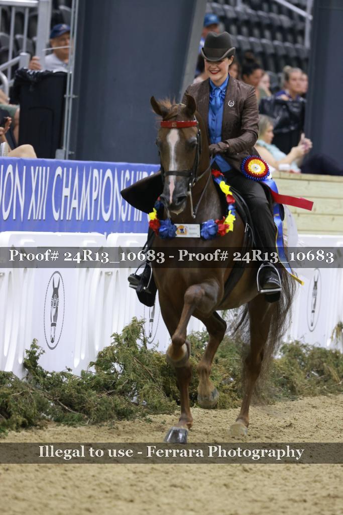 Proof 24R13_10683