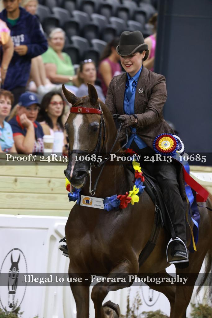Proof 24R13_10685