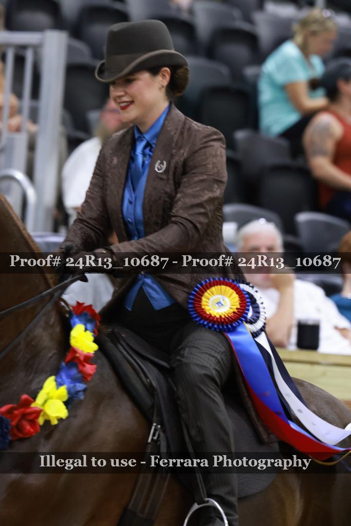 Proof 24R13_10687