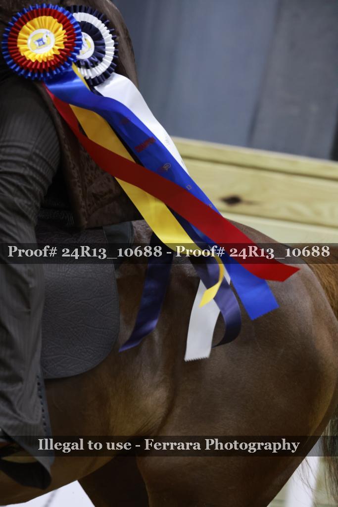 Proof 24R13_10688
