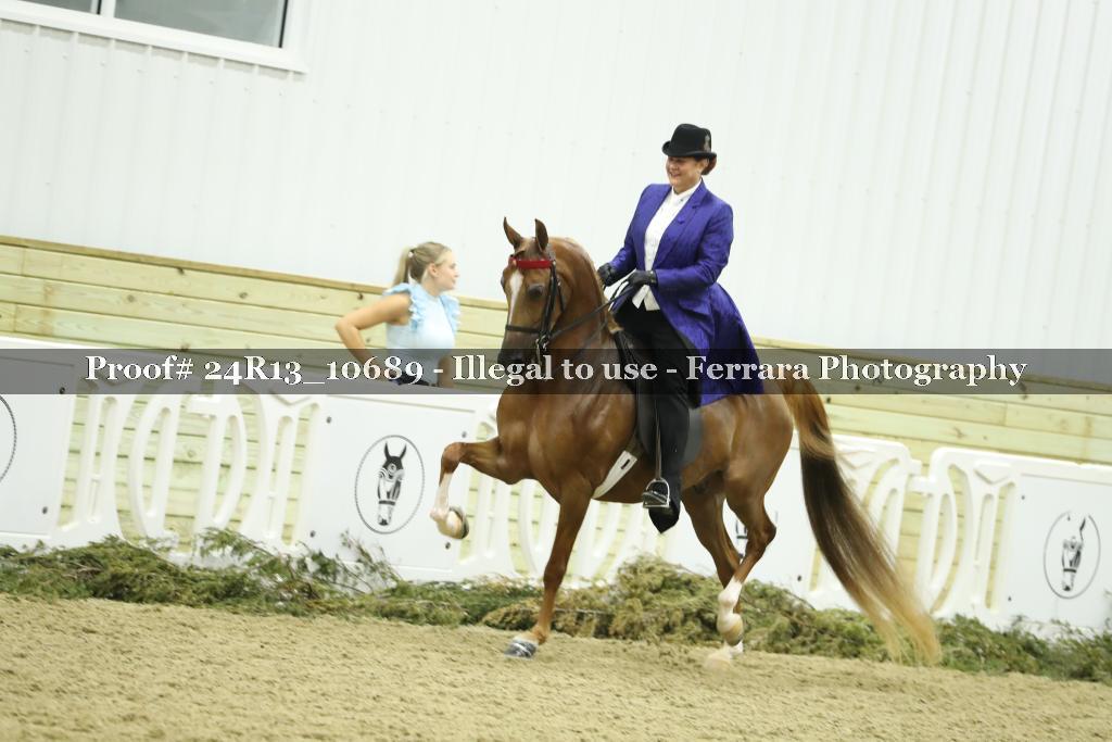 Proof 24R13_10689