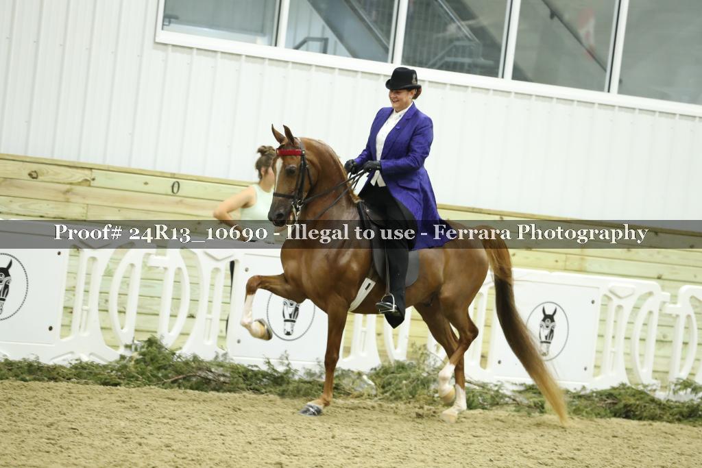 Proof 24R13_10690