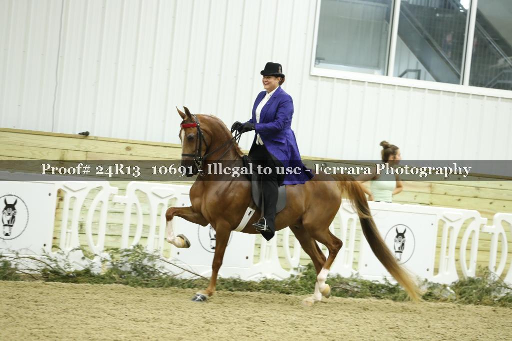 Proof 24R13_10691