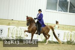 24R13_10691 proof
