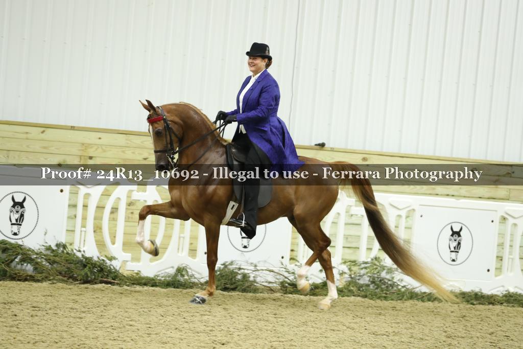 Proof 24R13_10692