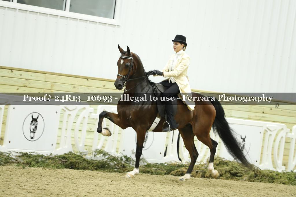 Proof 24R13_10693