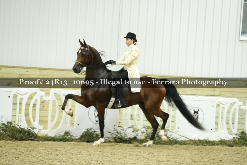 Proof 24R13_10695