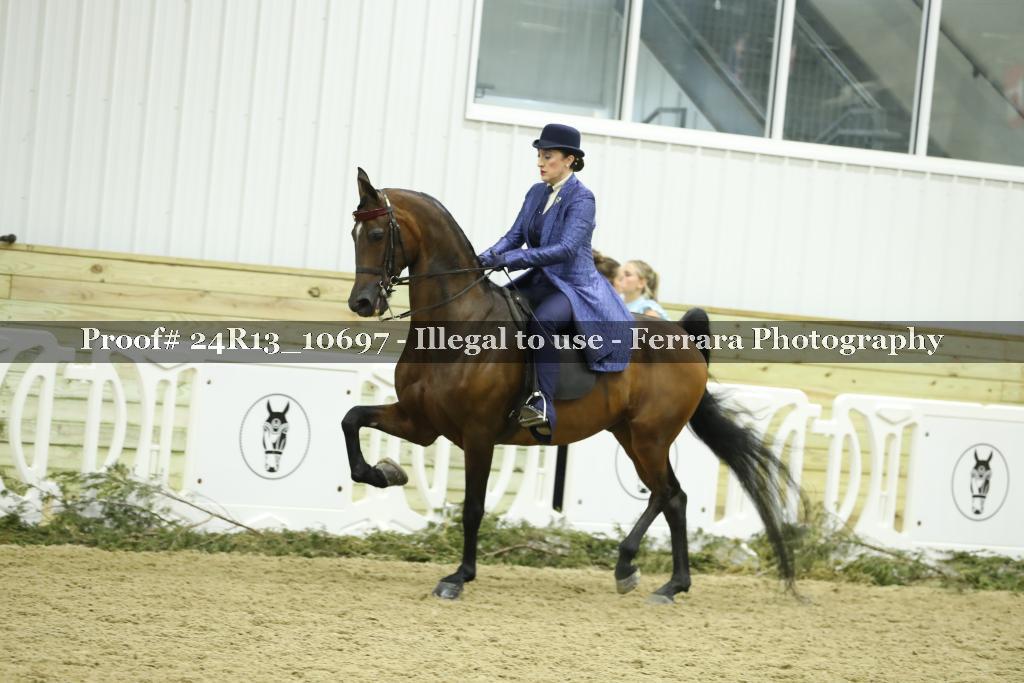 Proof 24R13_10697