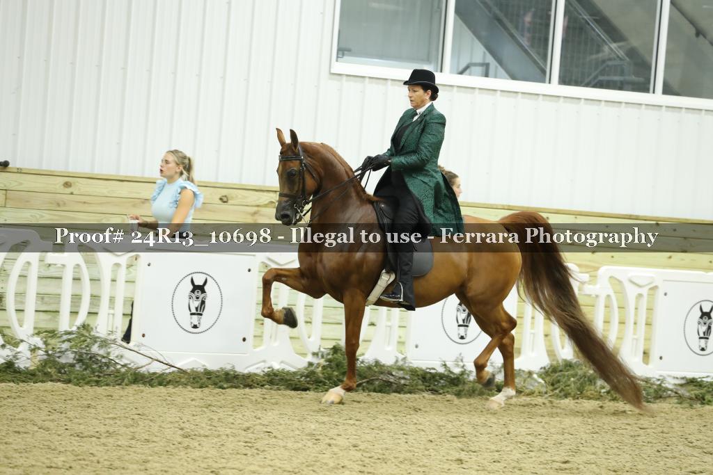 Proof 24R13_10698