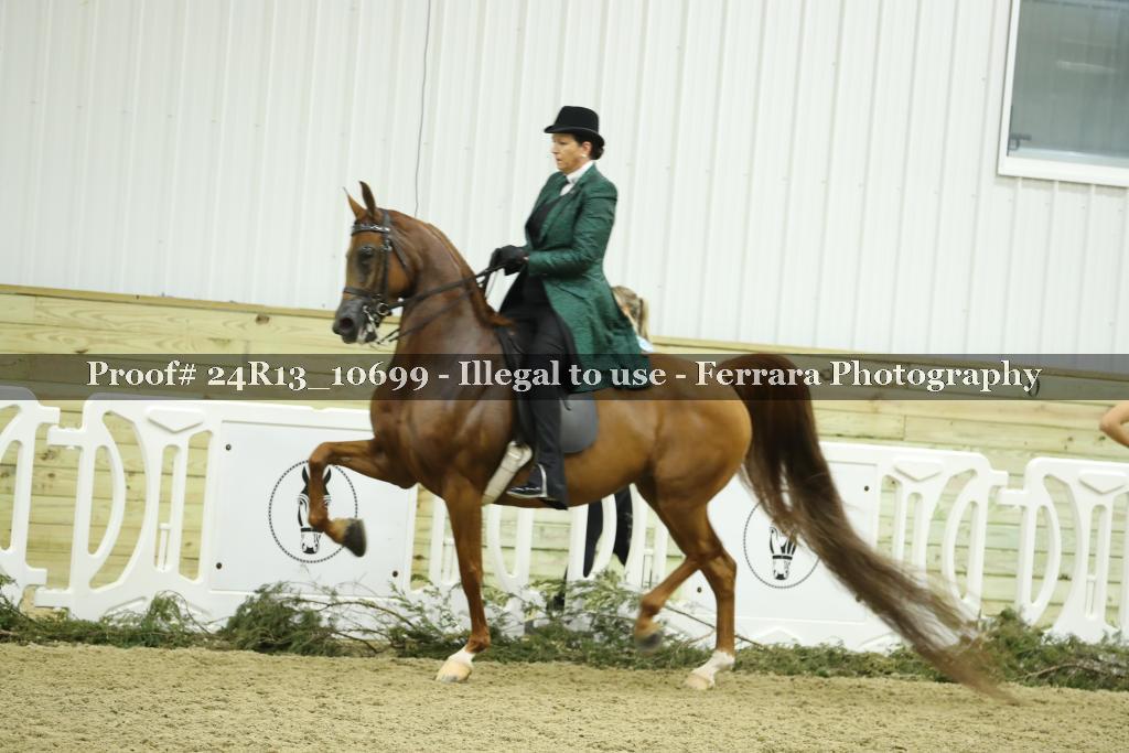 Proof 24R13_10699