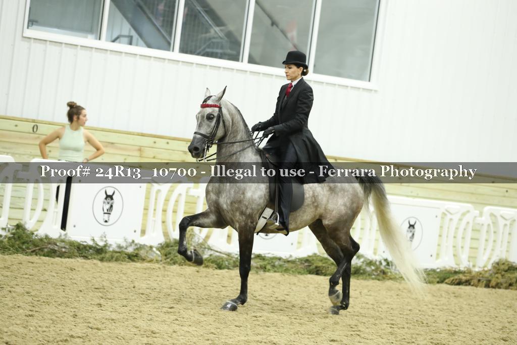 Proof 24R13_10700