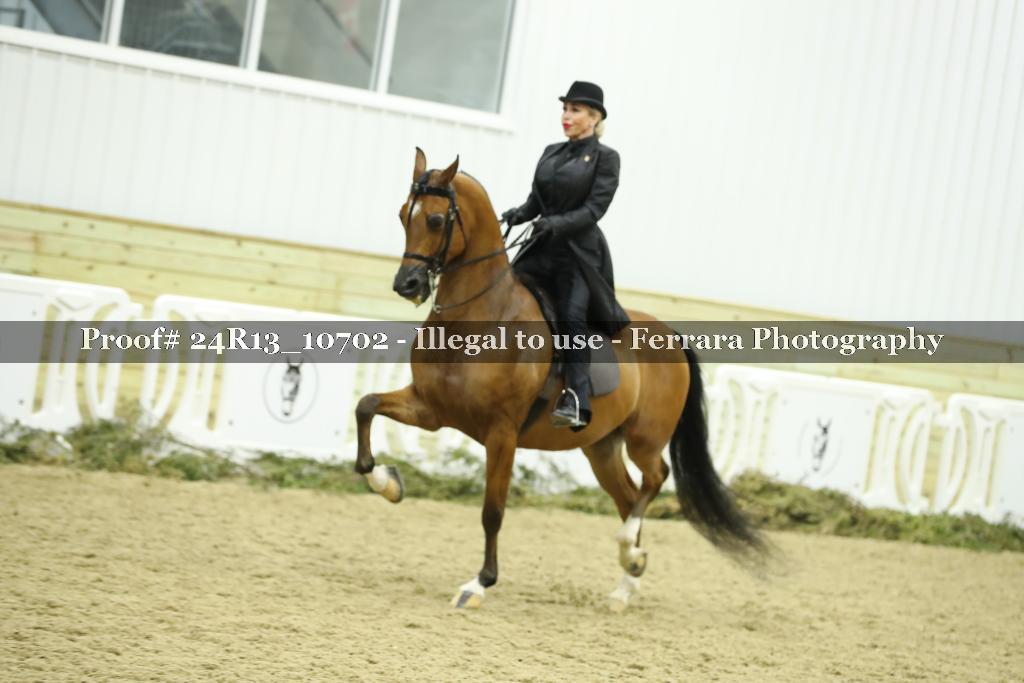 Proof 24R13_10702