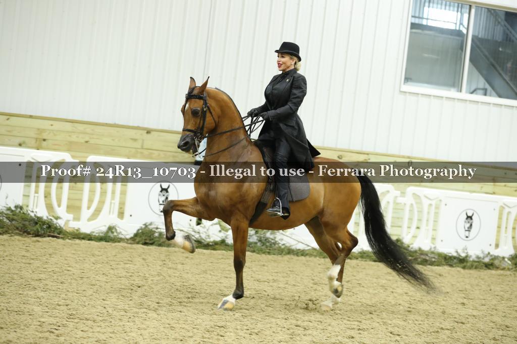Proof 24R13_10703