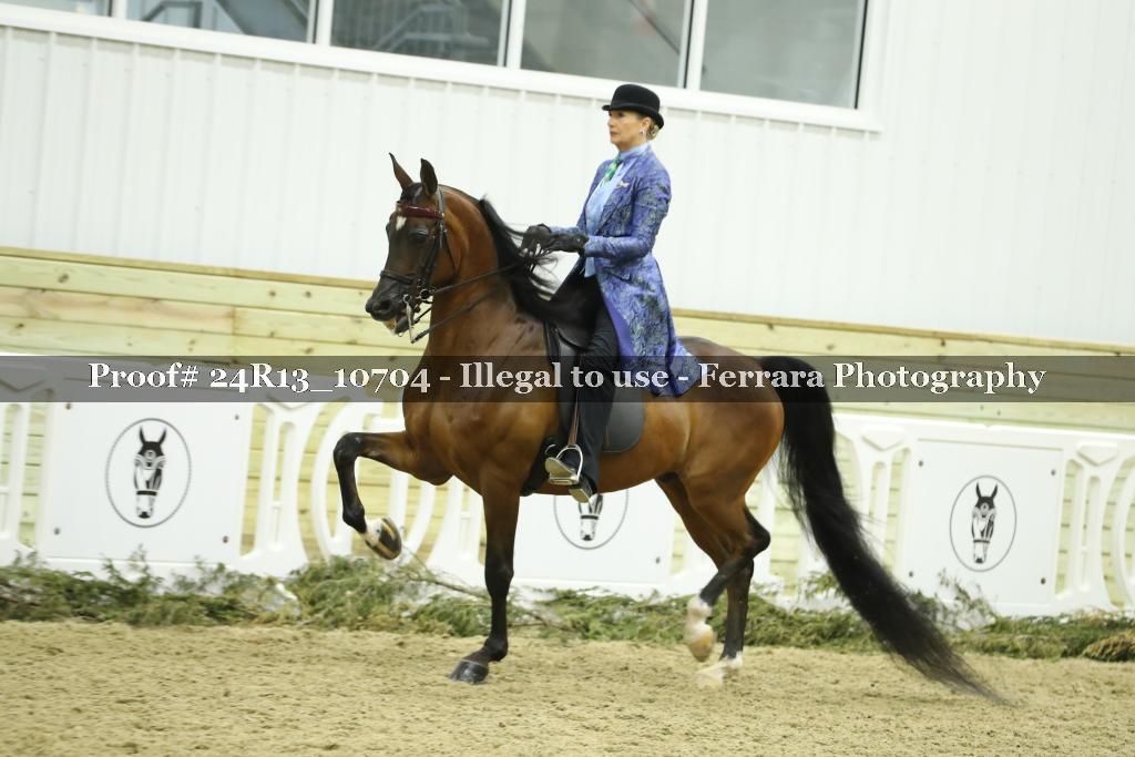 Proof 24R13_10704