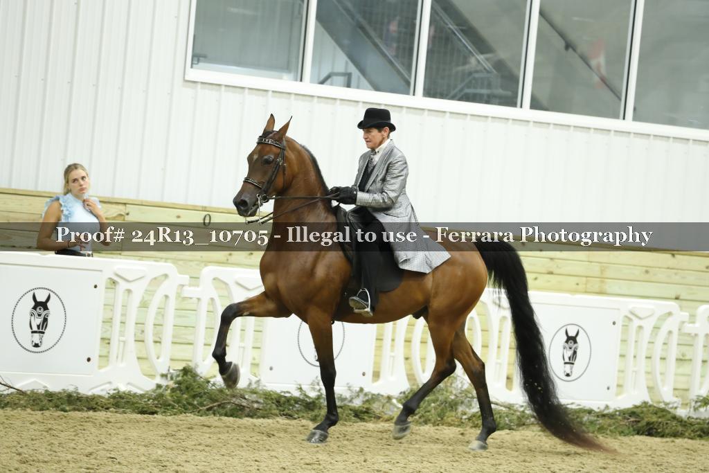 Proof 24R13_10705