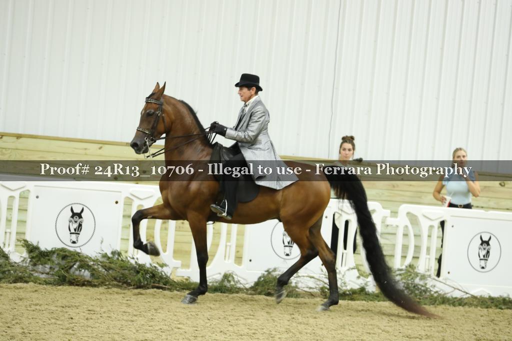 Proof 24R13_10706