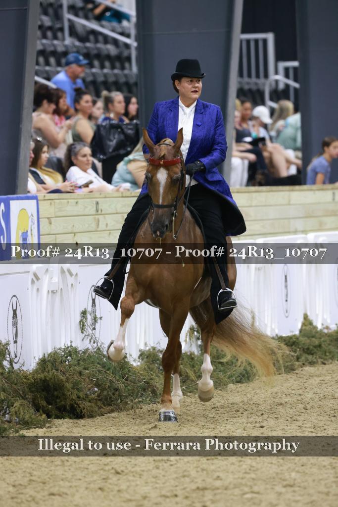 Proof 24R13_10707