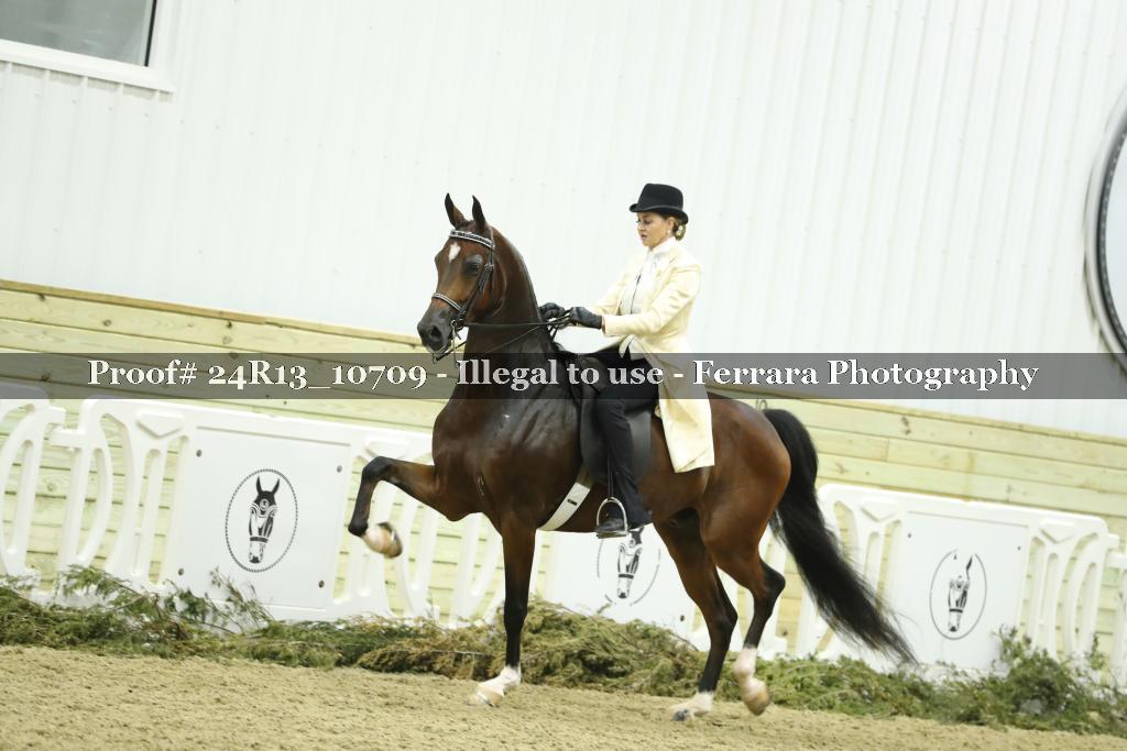 Proof 24R13_10709