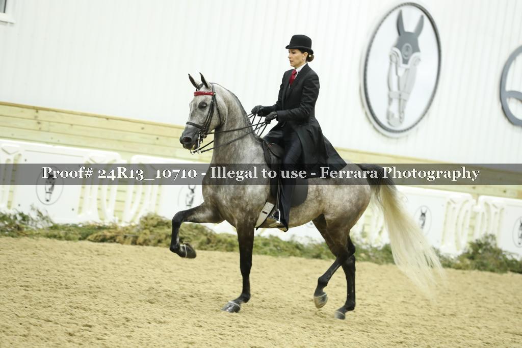 Proof 24R13_10710
